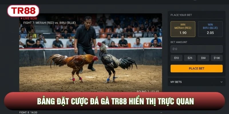 Bảng đặt cược đá gà TR88 hiển thị trực quan