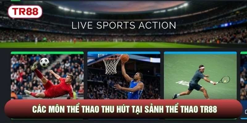 Các môn thể thao thu hút tại sảnh thể thao TR88