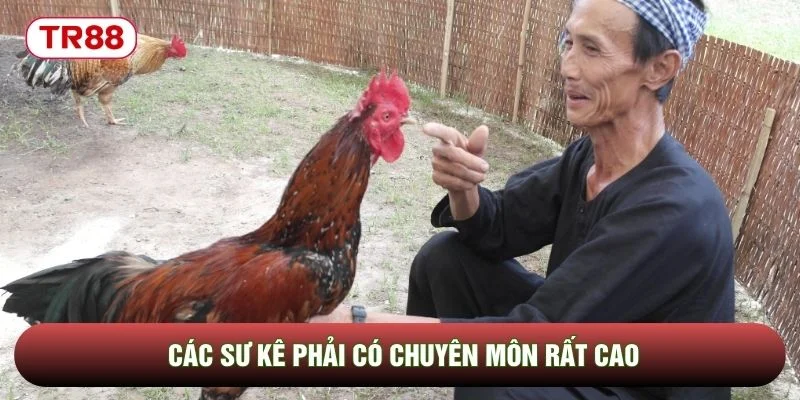 Các sư kê phải có chuyên môn rất cao