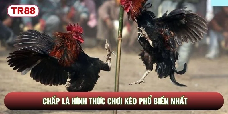 Chấp là hình thức chơi kèo phổ biến nhất
