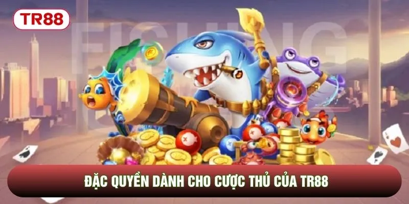 Đặc quyền dành cho cược thủ của TR88