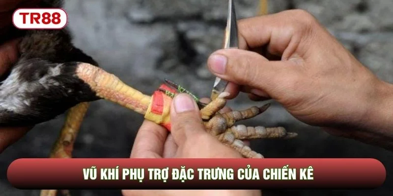 Vũ khí phụ trợ đặc trưng của chiến kê